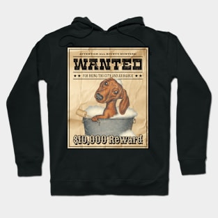 Funny Cute Doxie Dachshund Dog Wanted Poster Hoodie